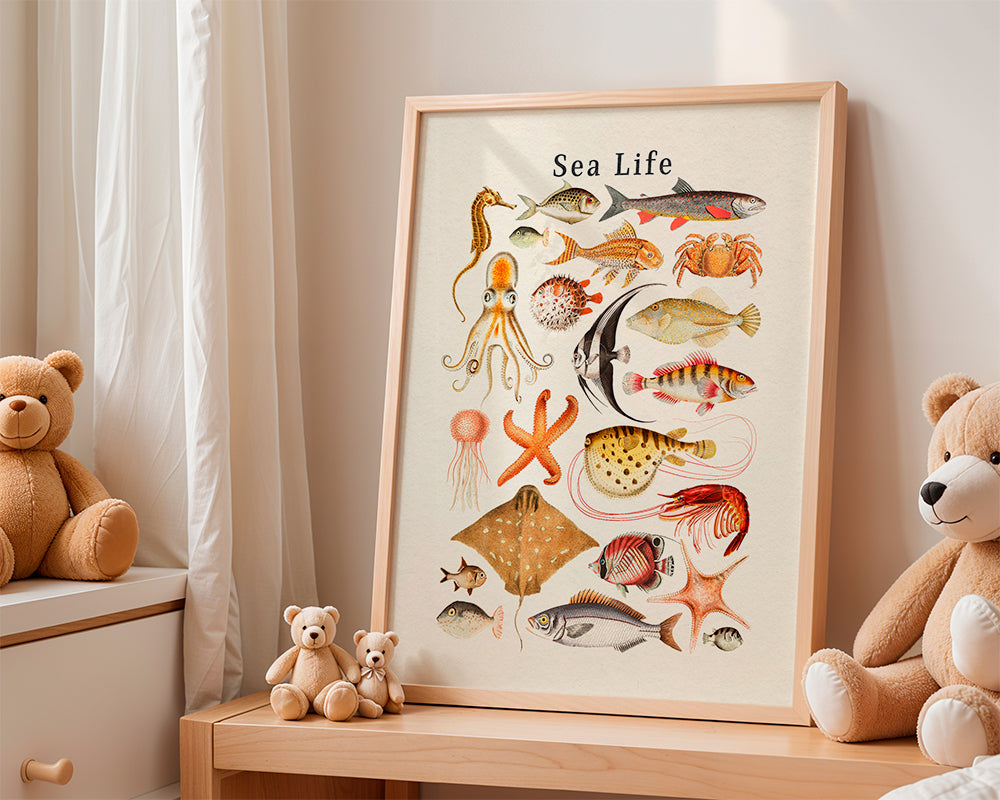 Lisslune | Sea Life Collection
