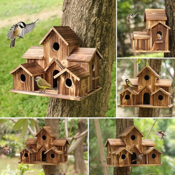 Lisslune | AviaryHaven - Nature Retreat with six entrances