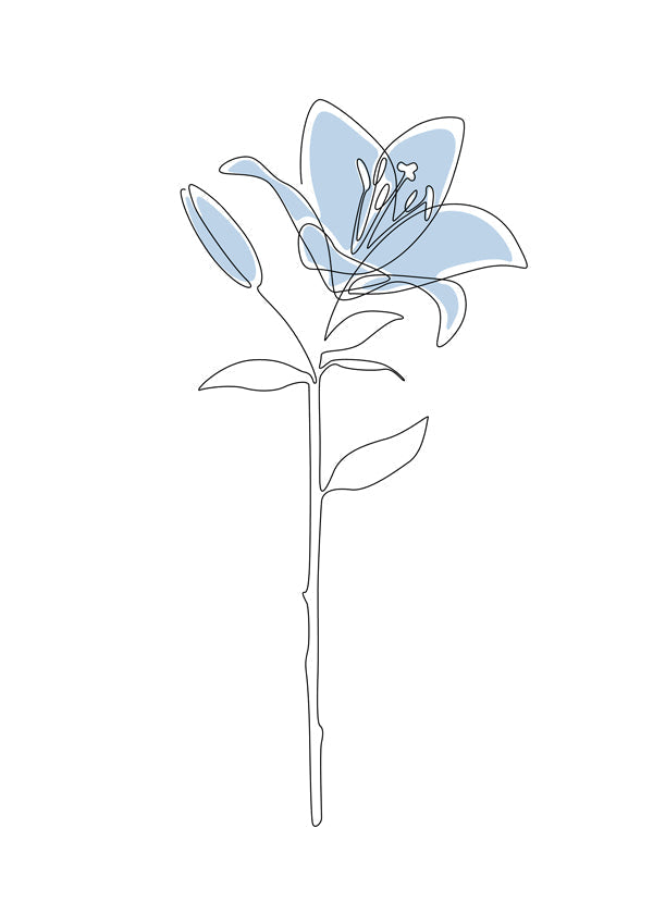 Lisslune | Blue Lily
