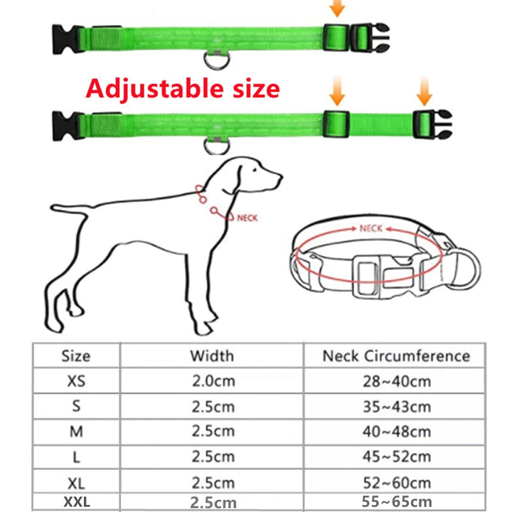 Lisslune | Luminous dog collar