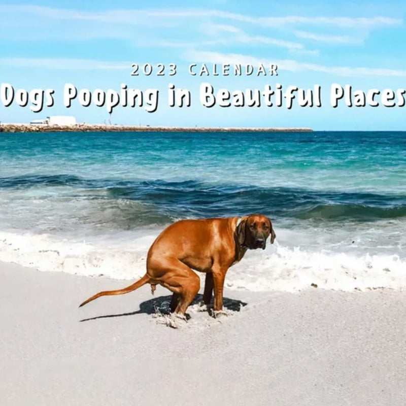 Lisslune | Pooping Pooches Dog Calendar