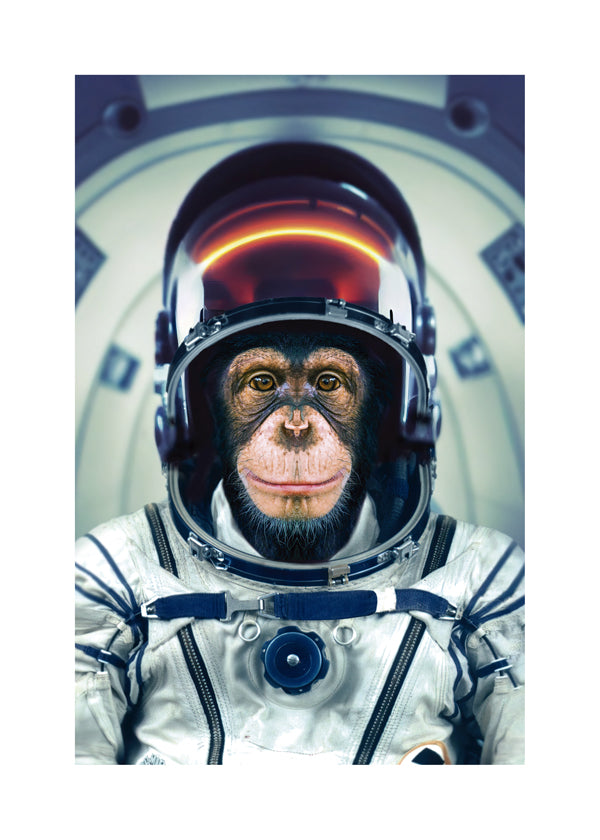 Lisslune | AstroMonkey - Marcel Egger