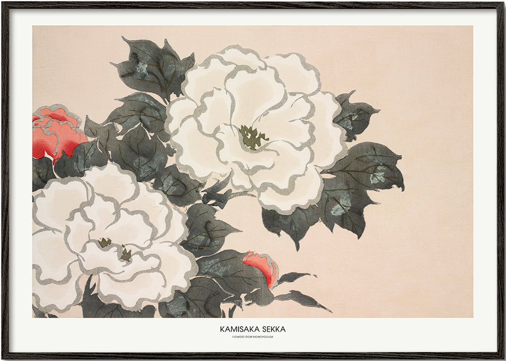 Lisslune | Flowers From Momoyogusa - Pictufy