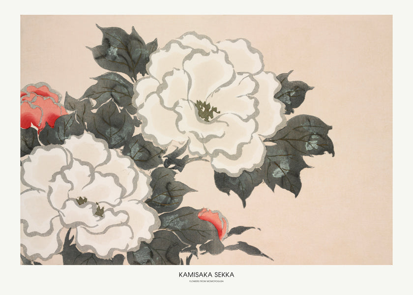 Lisslune | Flowers From Momoyogusa - Pictufy