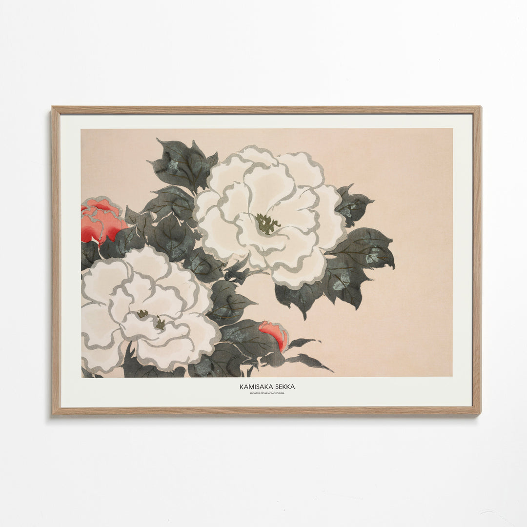 Lisslune | Flowers From Momoyogusa - Pictufy