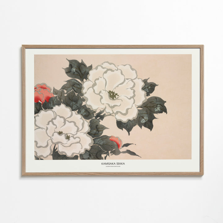 Lisslune | Flowers From Momoyogusa - Pictufy