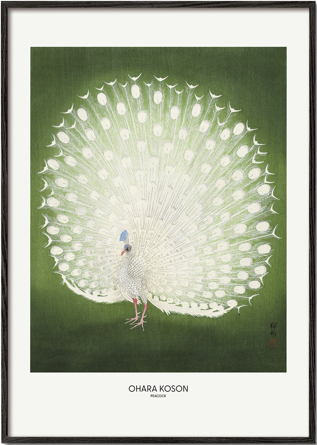 Lisslune | Peacock - Wide - Pictufy
