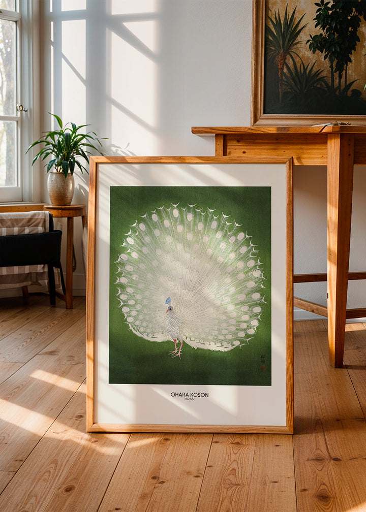 Lisslune | Peacock - Wide - Pictufy