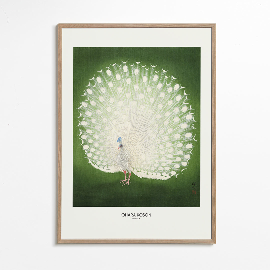 Lisslune | Peacock - Wide - Pictufy