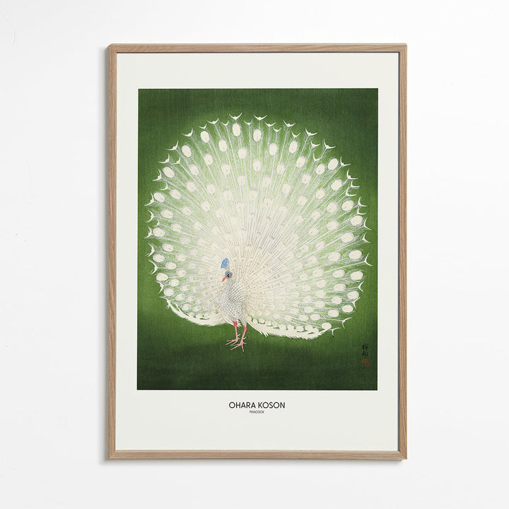 Lisslune | Peacock - Wide - Pictufy