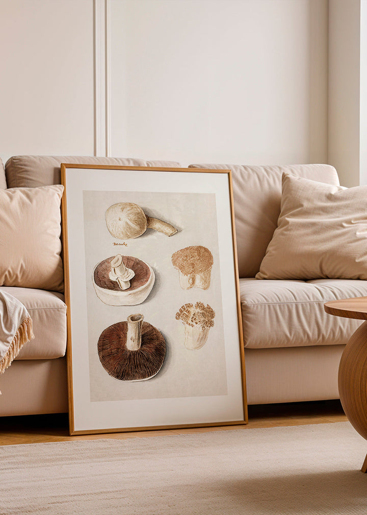 Lisslune | Common field mushroom, Agaricus campestris Standing - Pictufy