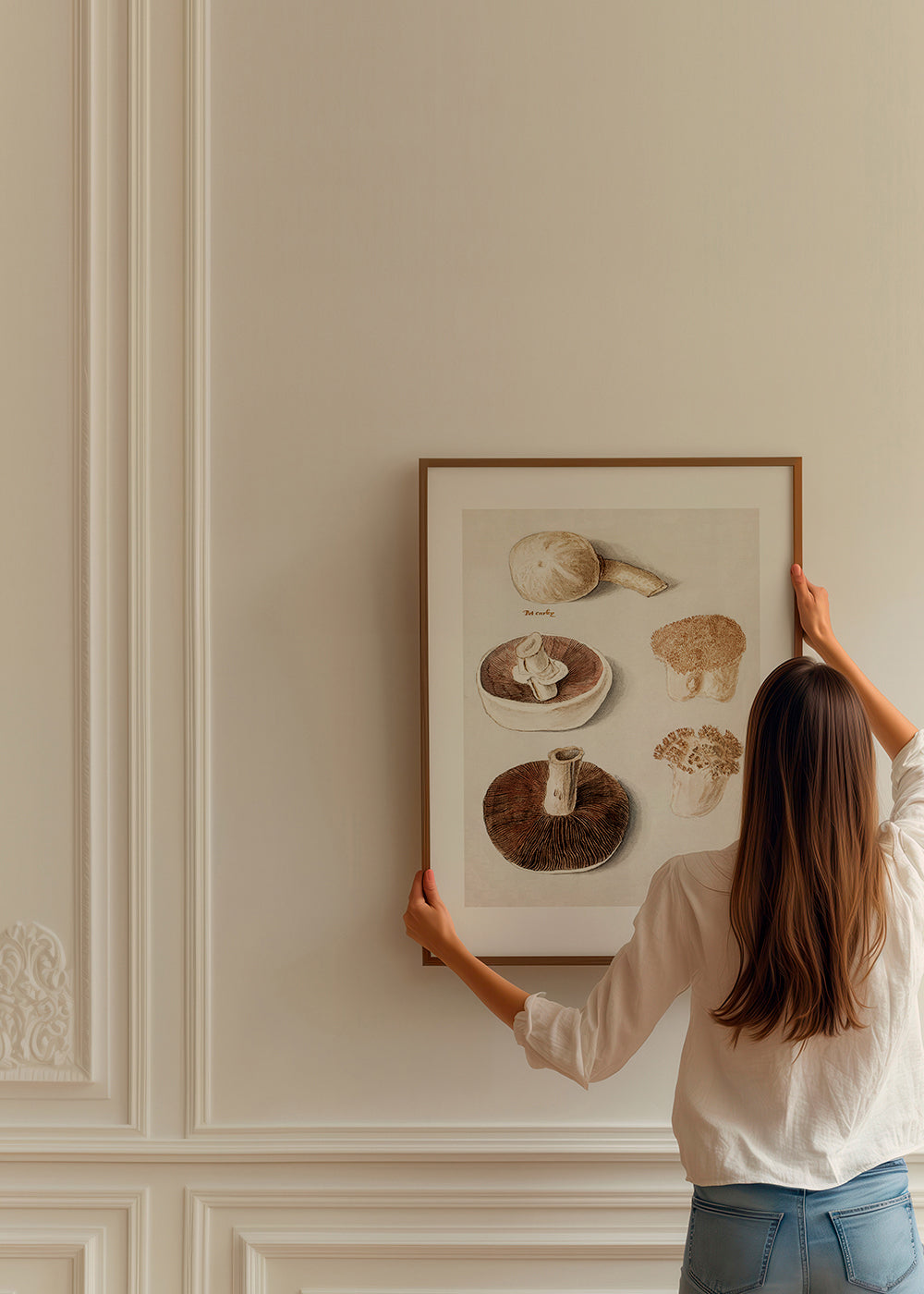 Lisslune | Common field mushroom, Agaricus campestris Standing - Pictufy
