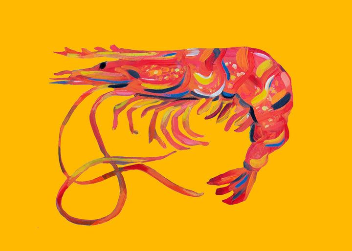 Lisslune | Shrimp on yellow - Alice Straker