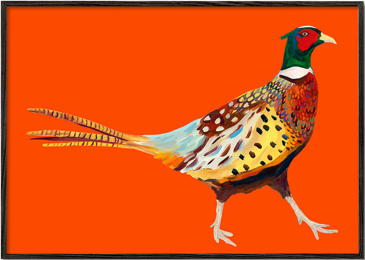 Lisslune | Stoltzende Pheasant on Orange - Alice Straker