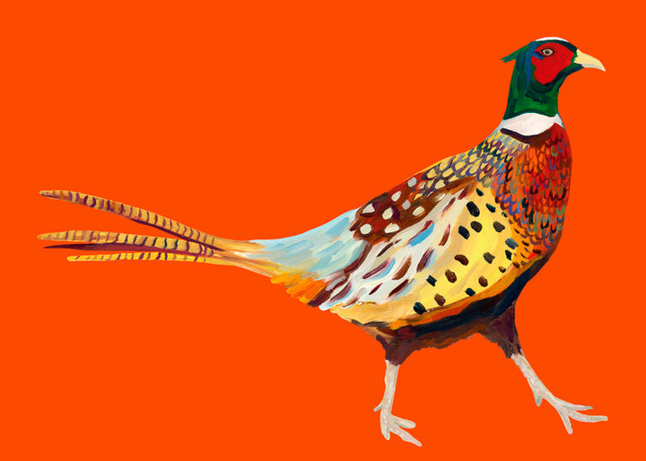 Lisslune | Stoltzende Pheasant on Orange - Alice Straker