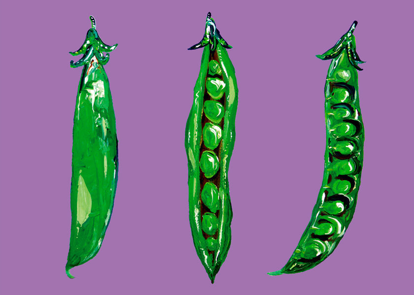 Lisslune | Peas In a Pod - Alice Straker