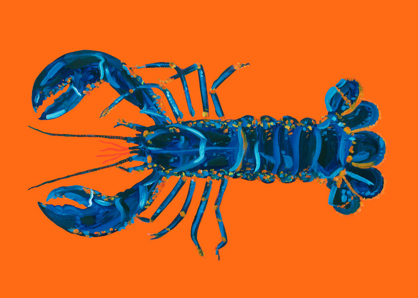 Lisslune | Lobster on Orange - Alice Straker