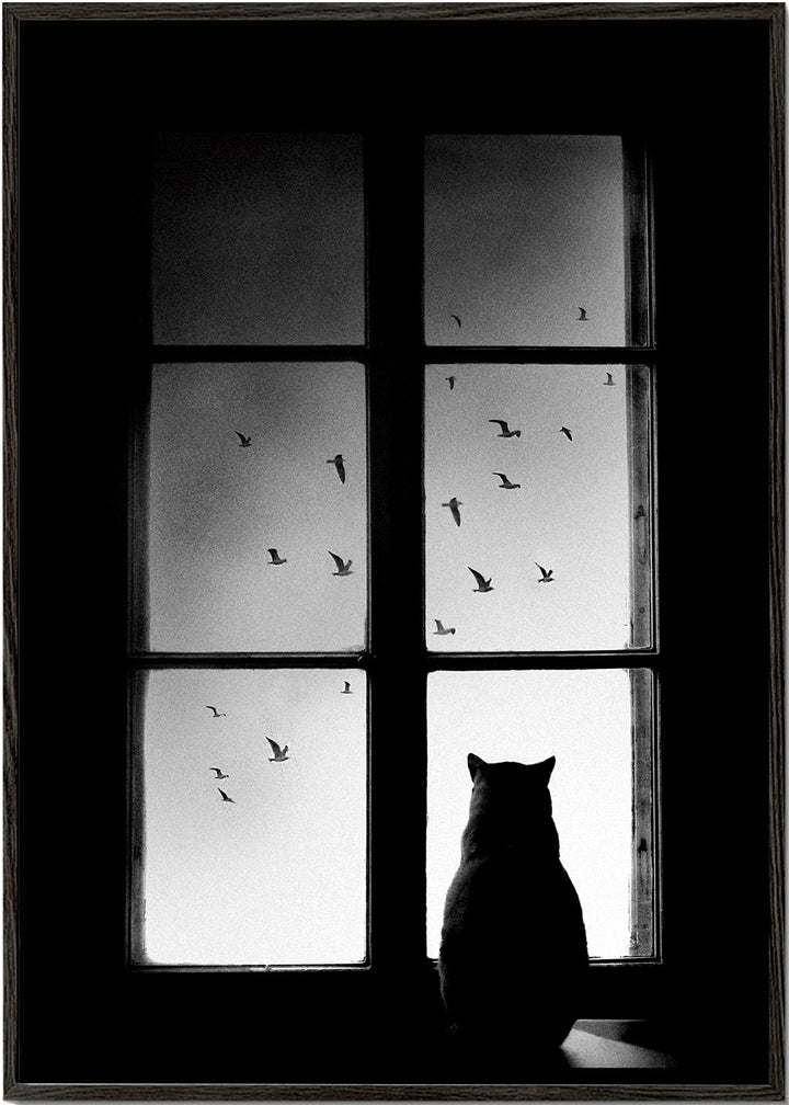 Lisslune | winter is coming - Mario Pucic
