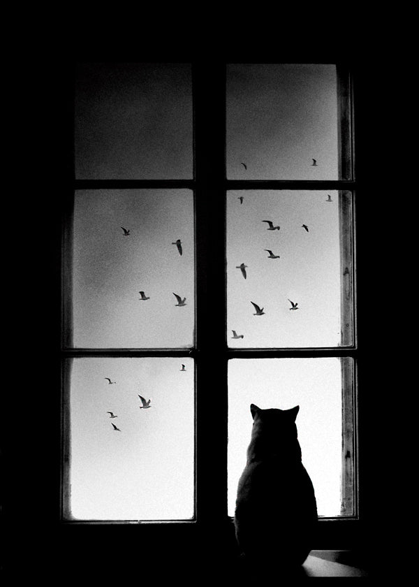 Lisslune | winter is coming - Mario Pucic