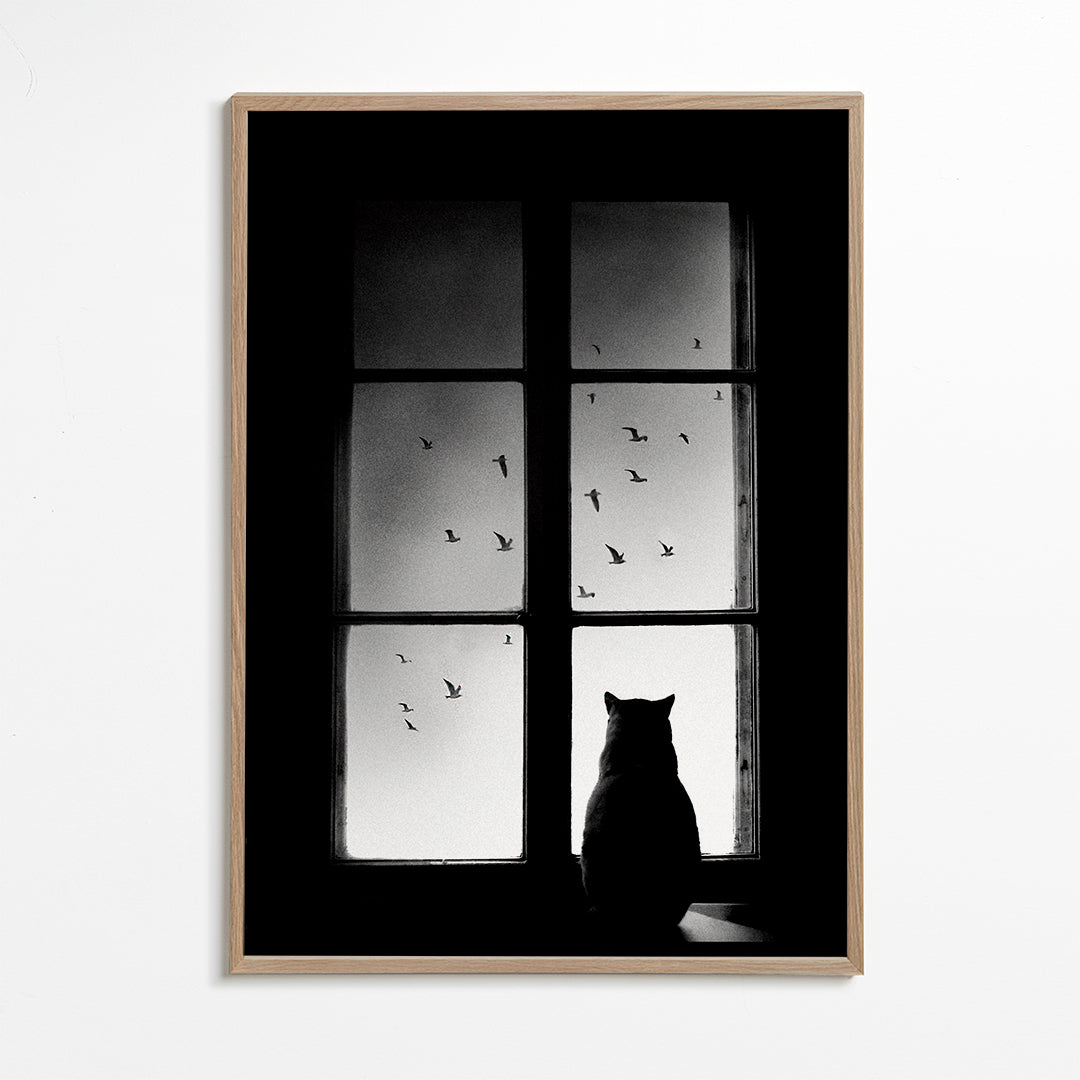 Lisslune | winter is coming - Mario Pucic