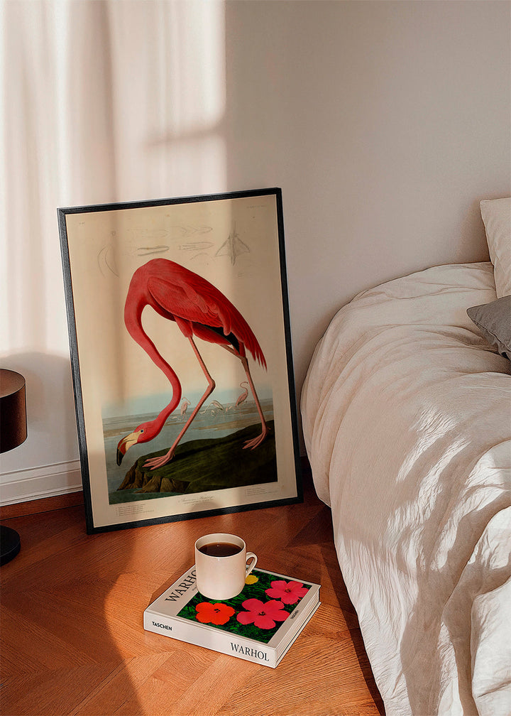 Lisslune | Audubon American Flamingo - The Birds in America