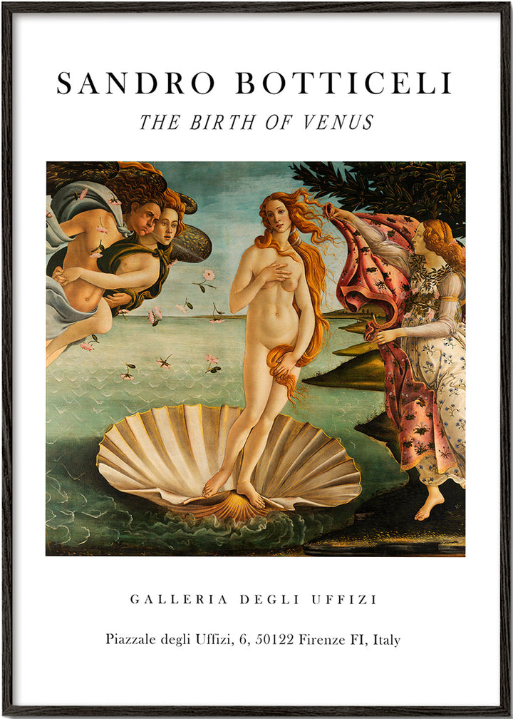 Lisslune | The Birthday of Venus Exhibition White - Sandro Botticelli