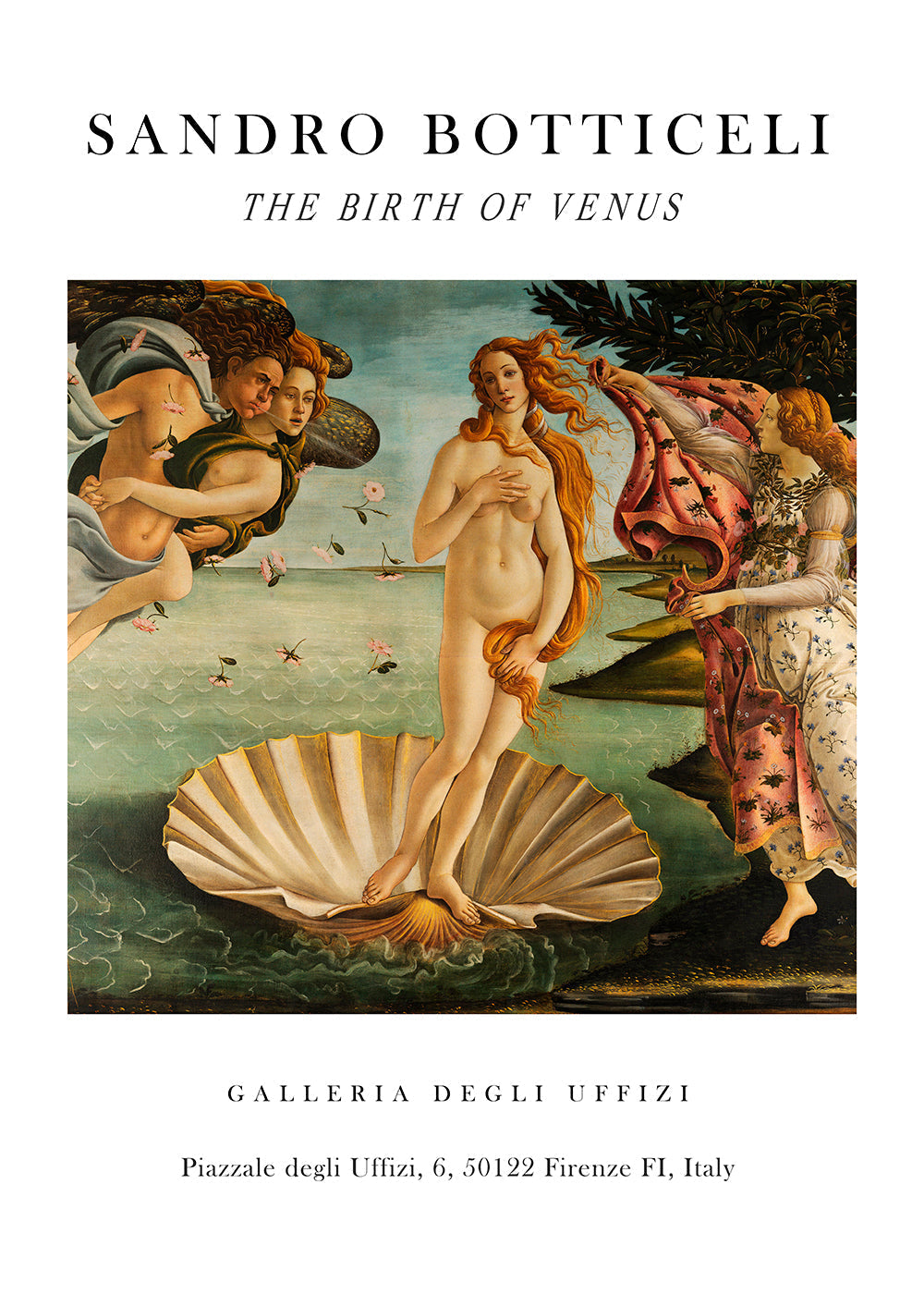 Lisslune | The Birthday of Venus Exhibition White - Sandro Botticelli