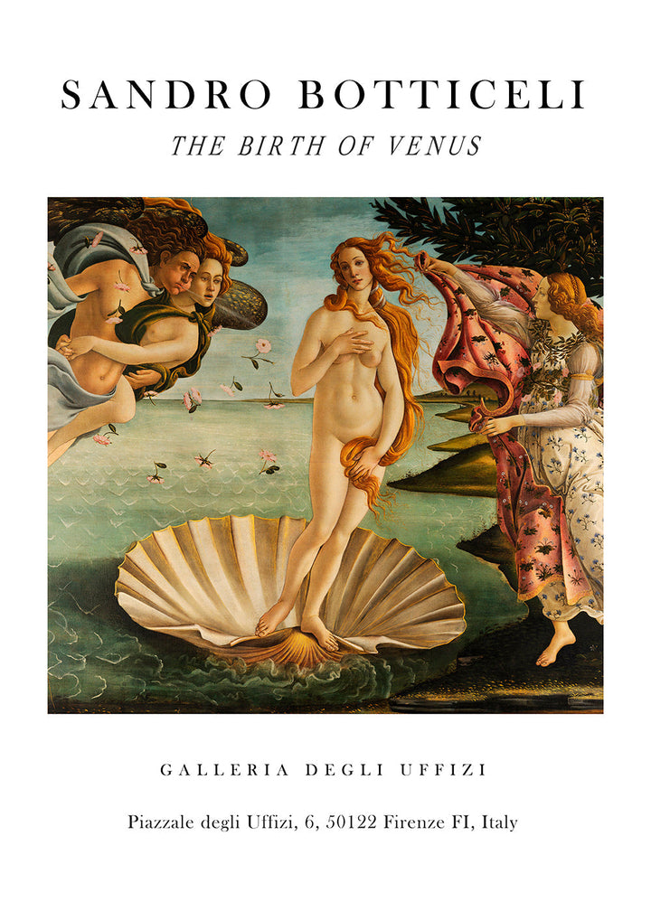 Lisslune | The Birthday of Venus Exhibition White - Sandro Botticelli