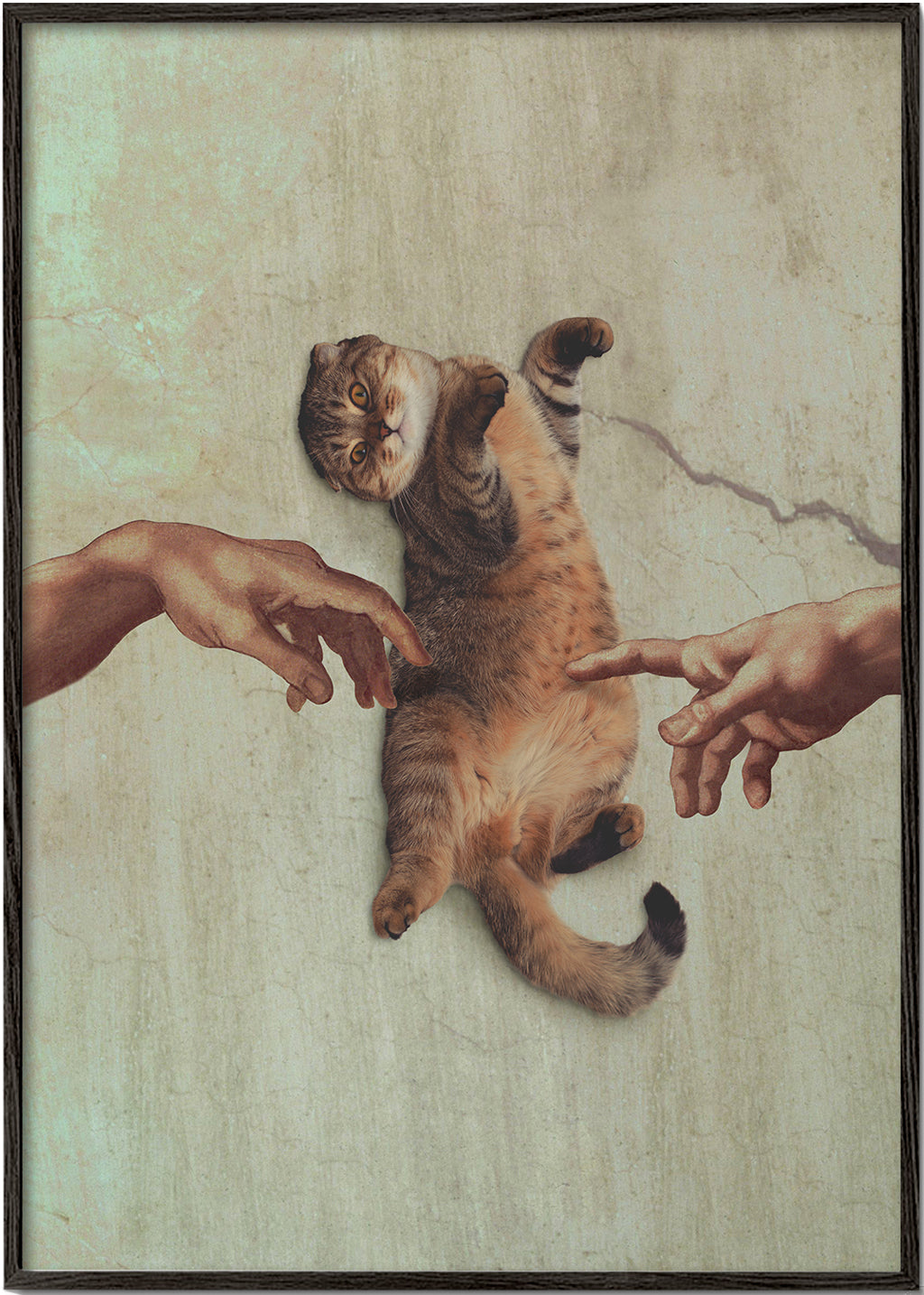 Lisslune | Touch of a Kityy