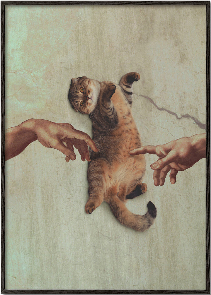 Lisslune | Touch of a Kityy