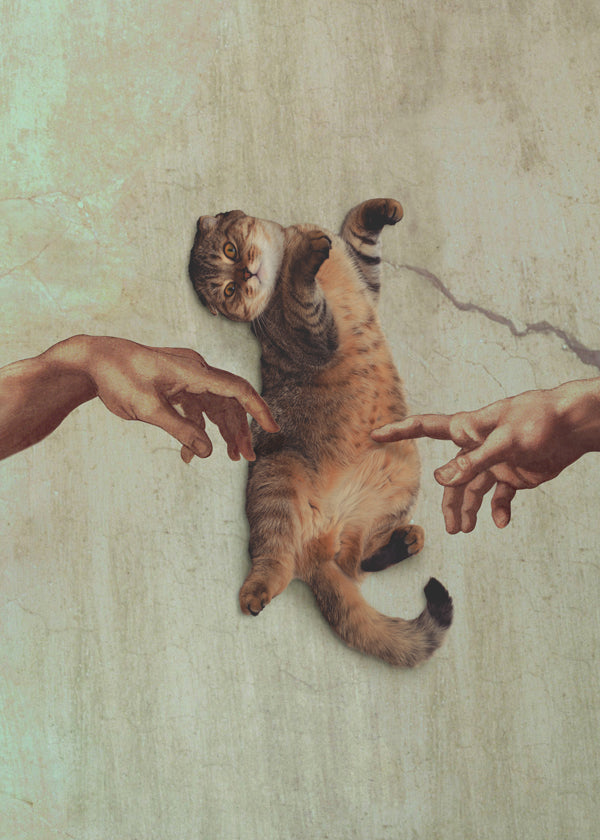 Lisslune | Touch of a Kityy