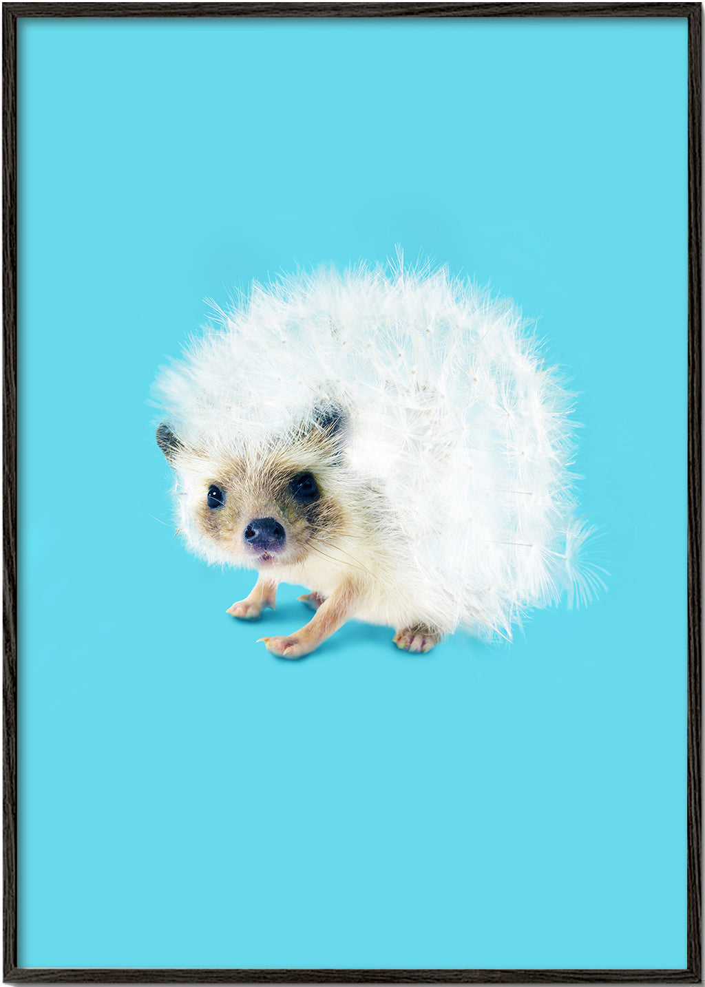 Lisslune | Prickly as a dandelion