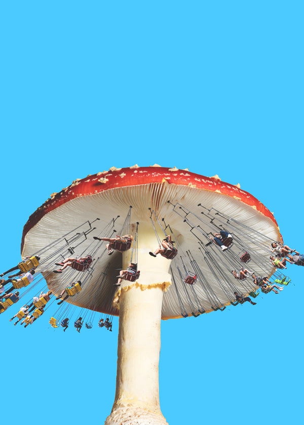 Lisslune | Amanita Carousel