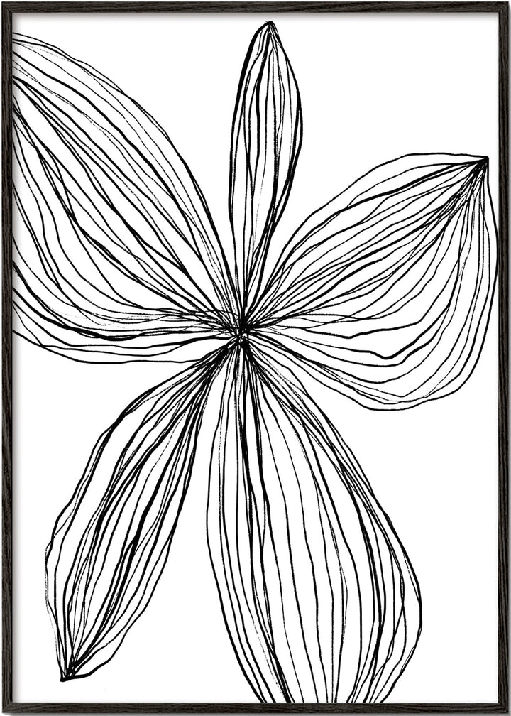 Lisslune | Flowerina 4