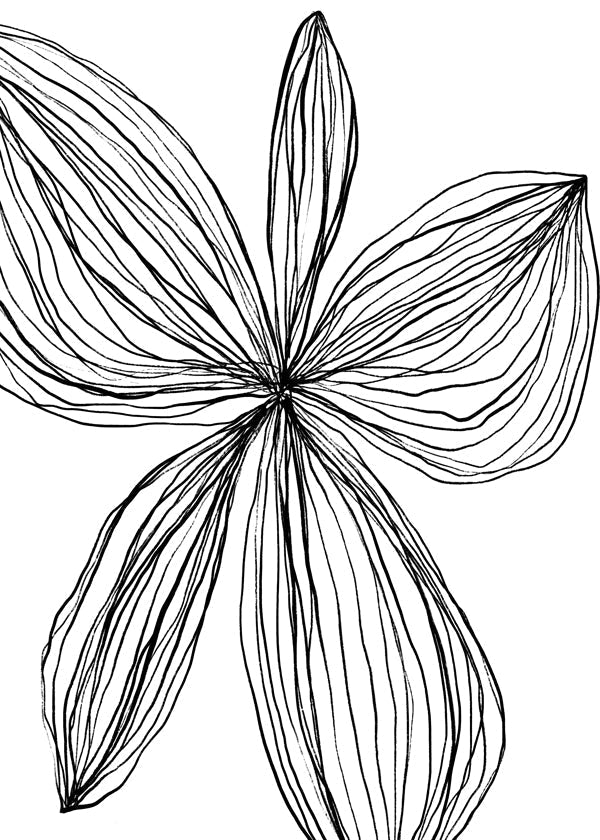 Lisslune | Flowerina 4