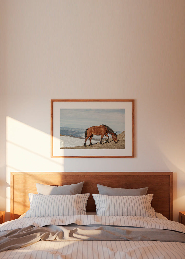 Lisslune | Wild Horses V