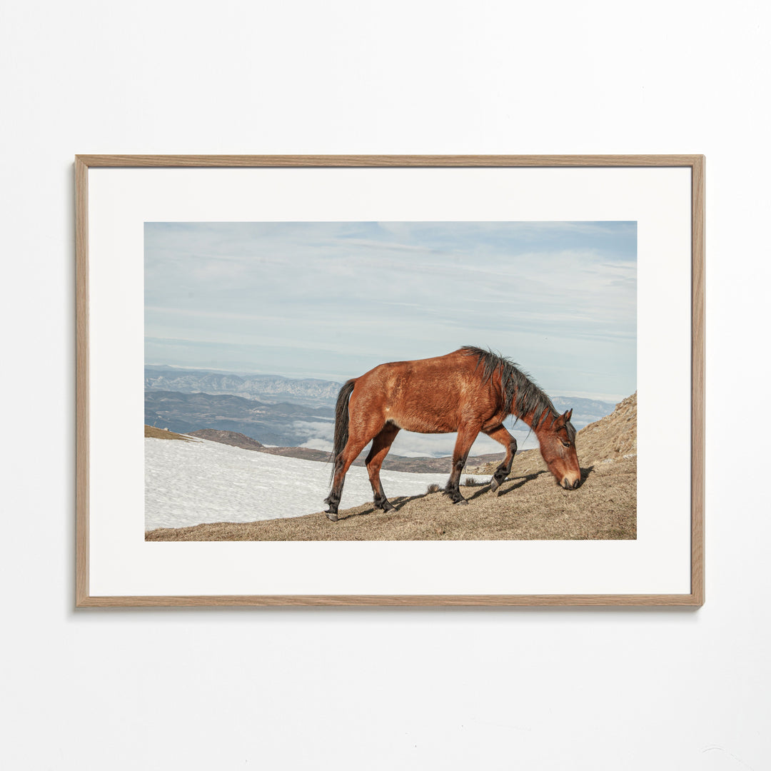 Lisslune | Wild Horses V
