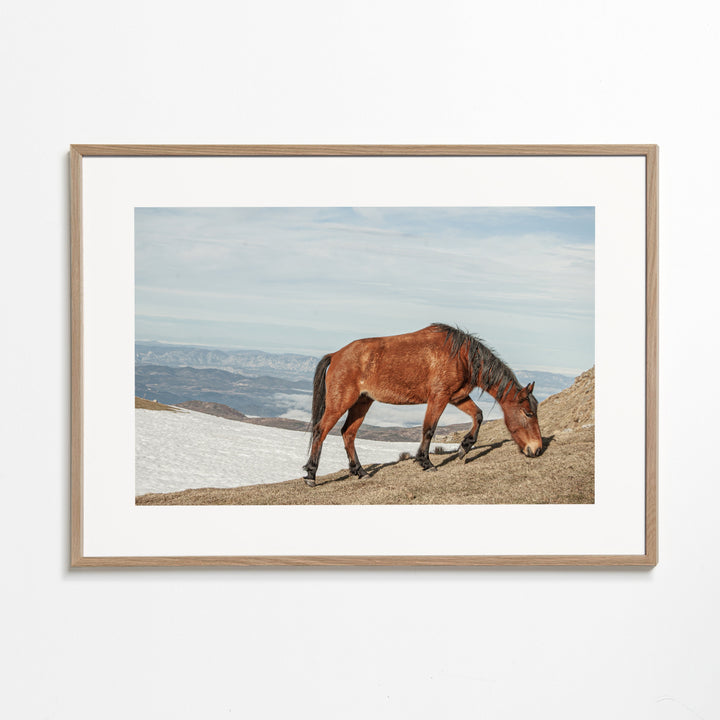 Lisslune | Wild Horses V