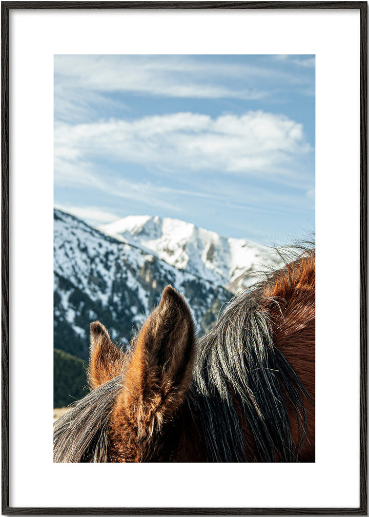 Lisslune | Wild Horses VII
