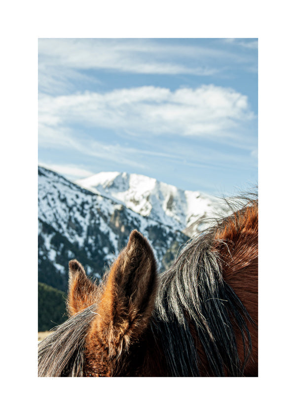 Lisslune | Wild Horses VII