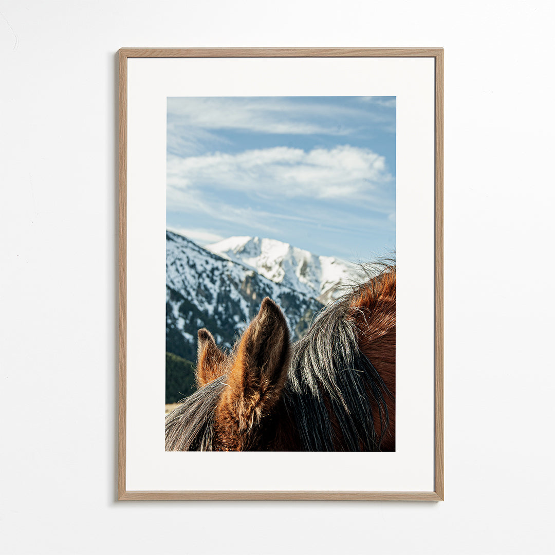 Lisslune | Wild Horses VII