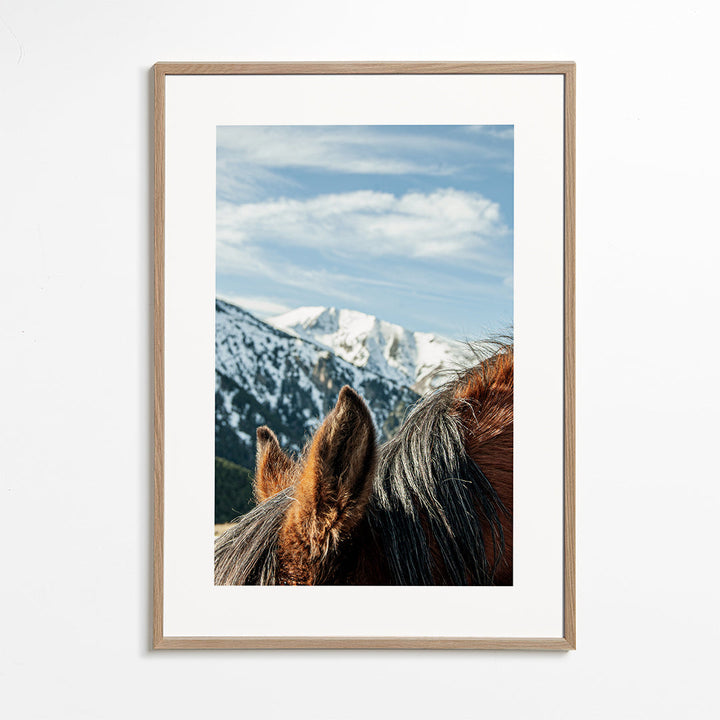 Lisslune | Wild Horses VII