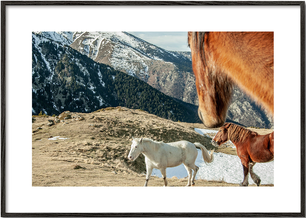 Lisslune | Wild Horses IX