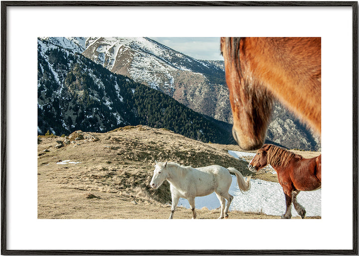 Lisslune | Wild Horses IX