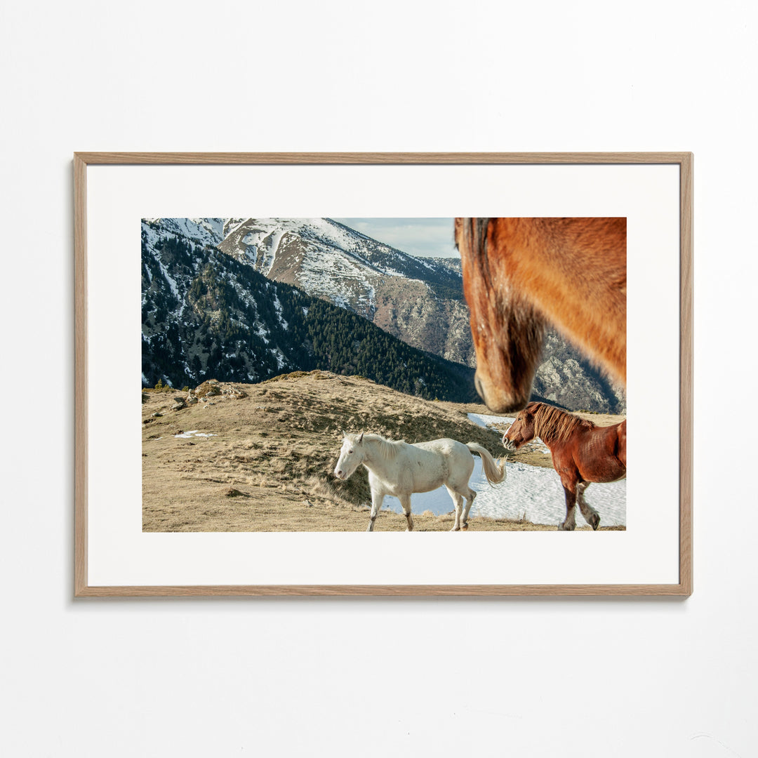 Lisslune | Wild Horses IX