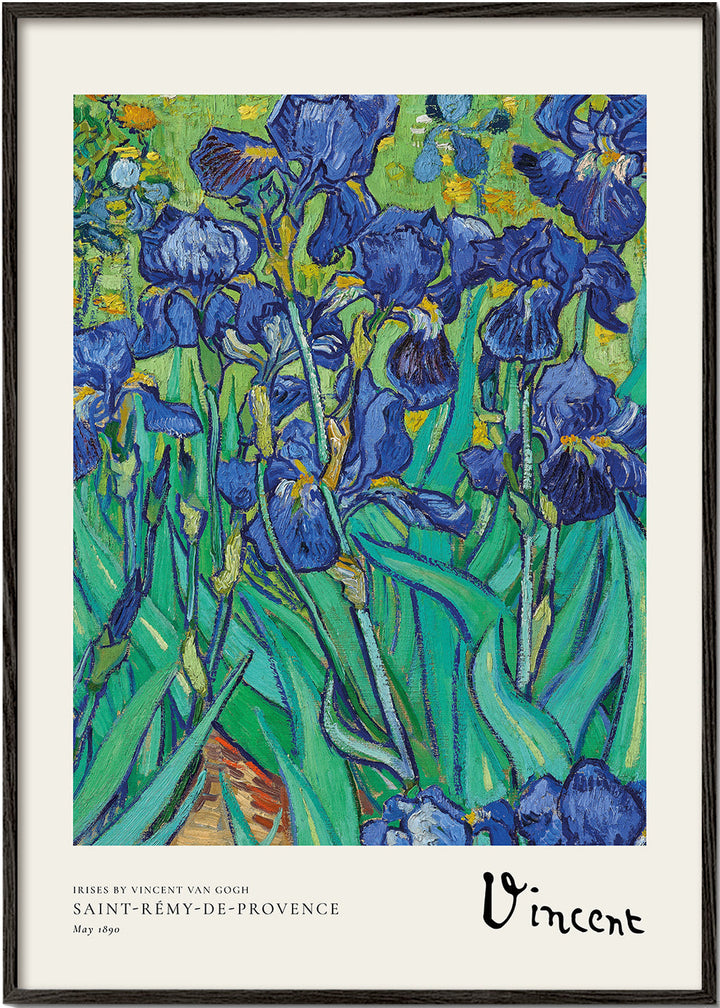 Lisslune | Iris by Vincent van Gogh