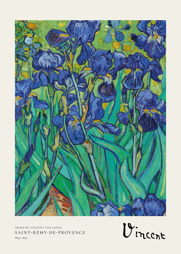 Lisslune | Iris by Vincent van Gogh