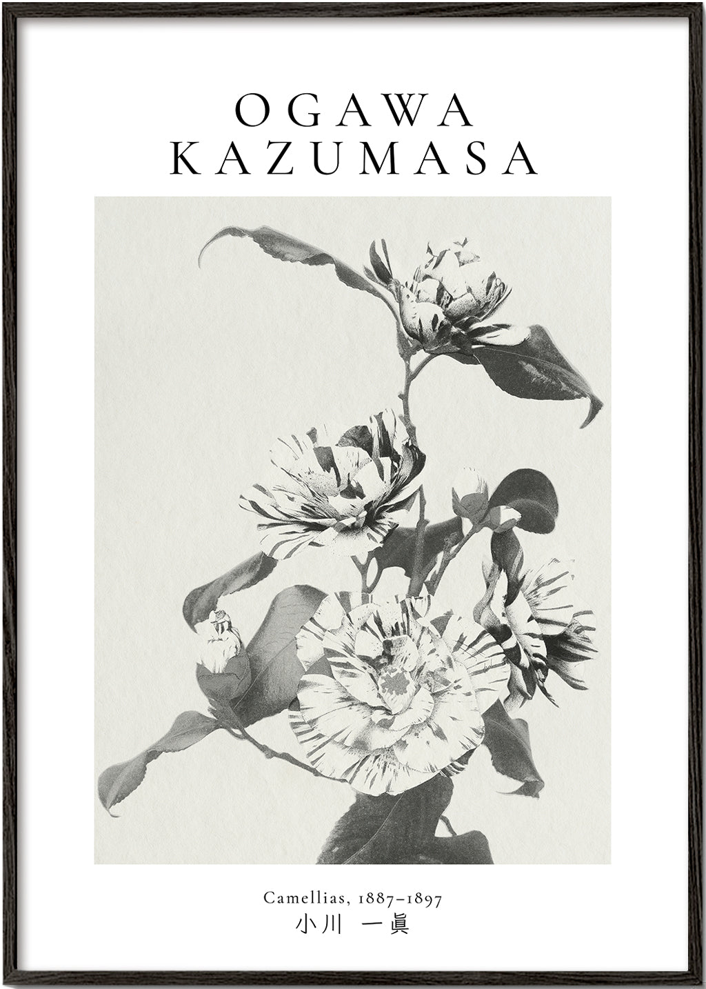 Lisslune | Striped Camellia Remix by Ogawa Kazumasa