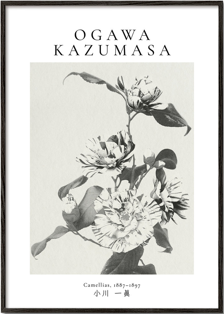 Lisslune | Striped Camellia Remix by Ogawa Kazumasa