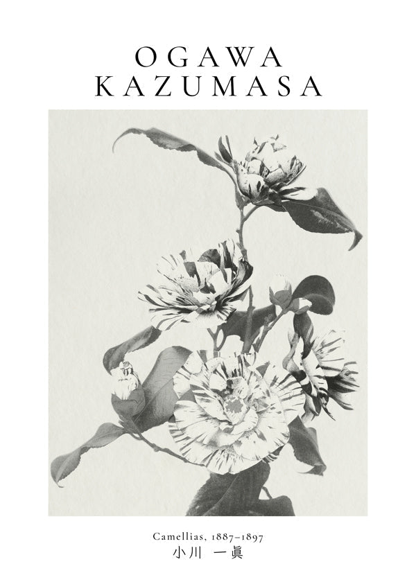 Lisslune | Striped Camellia Remix by Ogawa Kazumasa